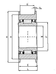 chain roller bearing